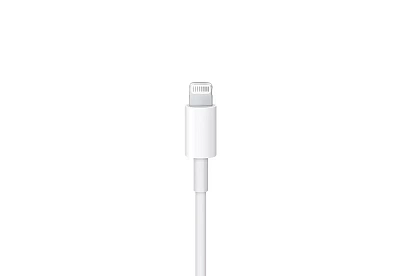 Apple Usb-C to lightning 1m